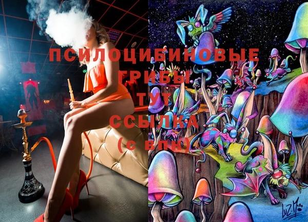 ALPHA PVP Верея