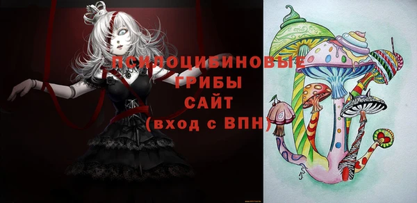 ALPHA PVP Верея