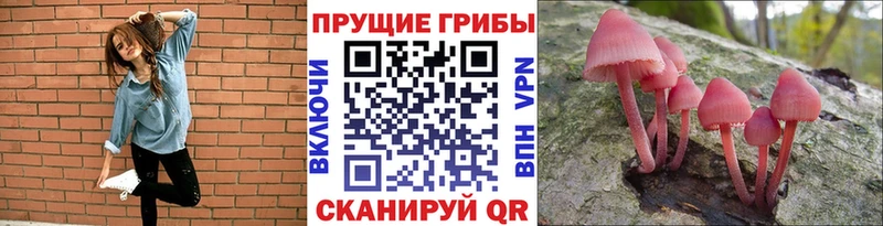 цена наркотик  Городец  ссылка на мегу как войти  Галлюциногенные грибы Magic Shrooms 